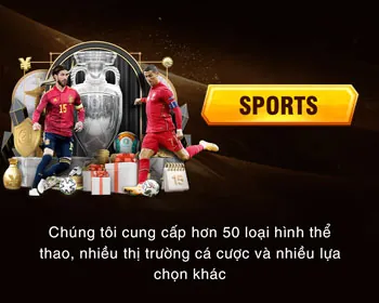 Email và Hotline hỗ trợ K9win