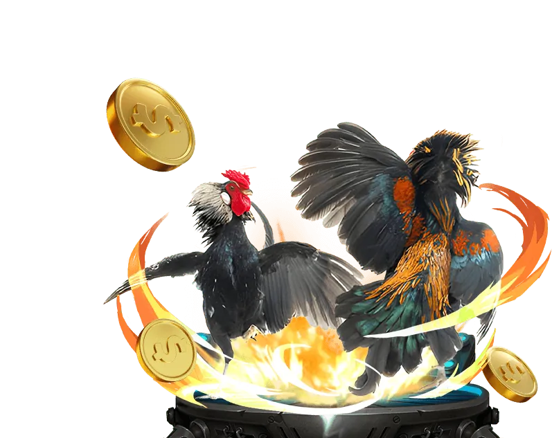 Cấp Độ VIP Bạc K9WIN